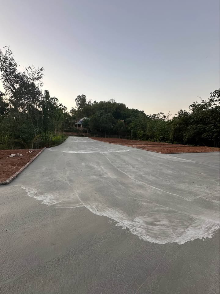 Đất Hiền Quan Tam Nông 100m² giá chỉ 200 triệu - Cơ hội đầu tư tuyệt vời!