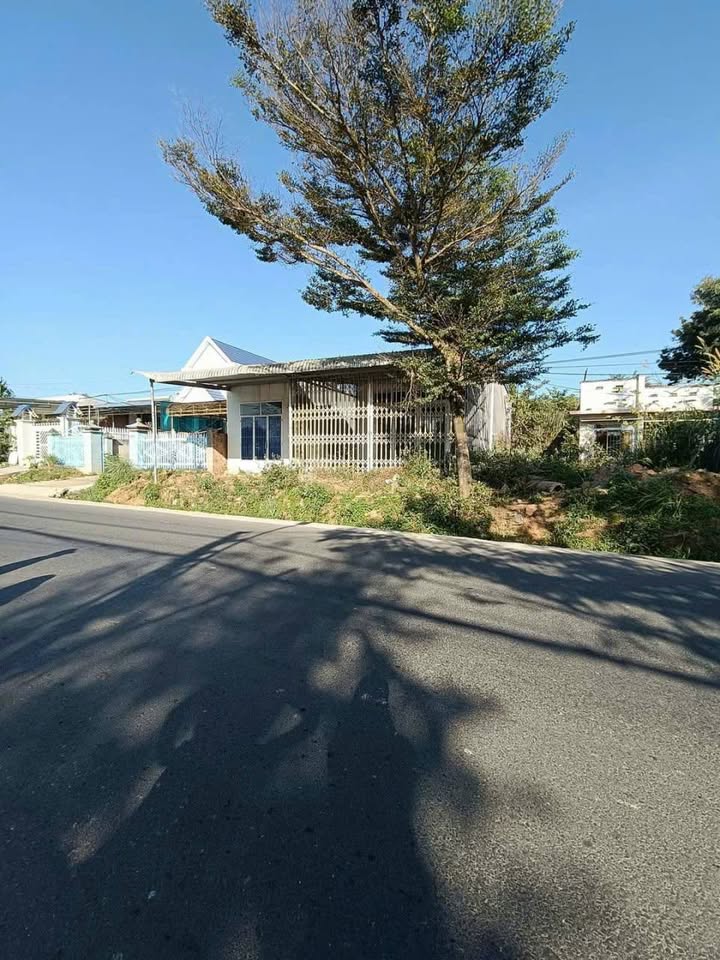 Đất nền Đạ Đờn Lâm Hà 1200m² giá 3.5 tỷ - Kinh doanh thuận lợi!