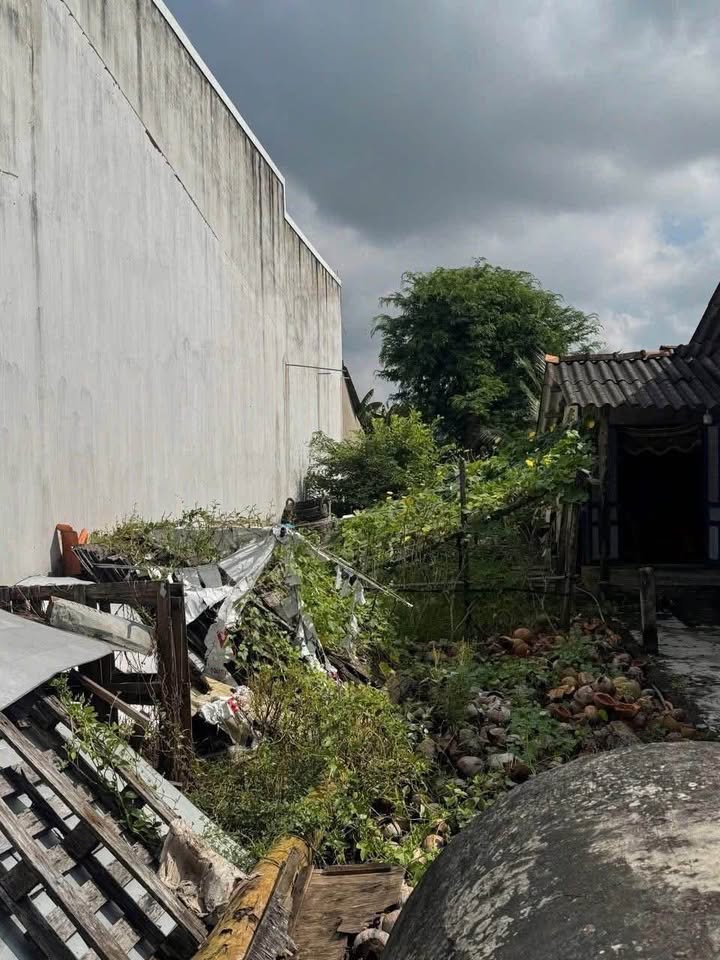 Đất thổ cư 138m² xã Dương Xuân Hội, Long An giá 1.3 tỷ - Đầu tư sinh lời nhanh!