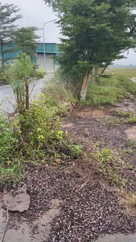 Đất đấu giá 90m² tại Cao Thành, 3 tỷ - Đầu tư an toàn, giá trị bền vững!