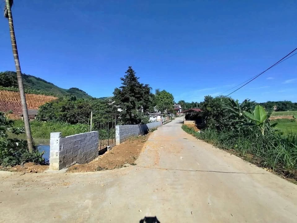 Đất nền Xuân Viên, Yên Lập 203m² giá chỉ 100 triệu - Sổ đỏ chính chủ!