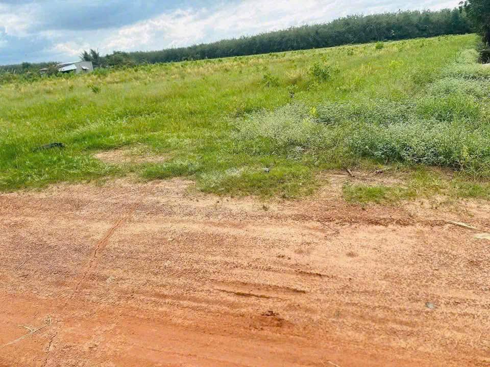 Đất nền chính chủ tại Thành Long, Châu Thành, Tây Ninh - Diện tích 1000m², giá thỏa thuận!