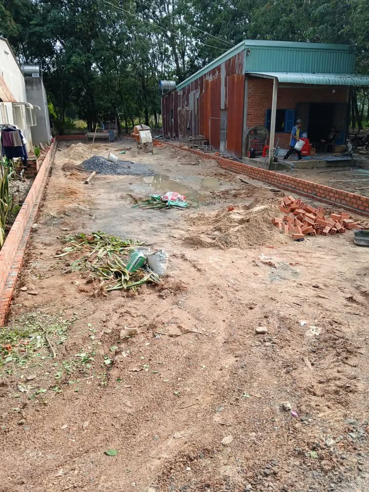 Đất thổ cư 210m² tại ấp Thạnh Tân, Tân Biên - Giá chỉ 420 triệu có sẵn nền!