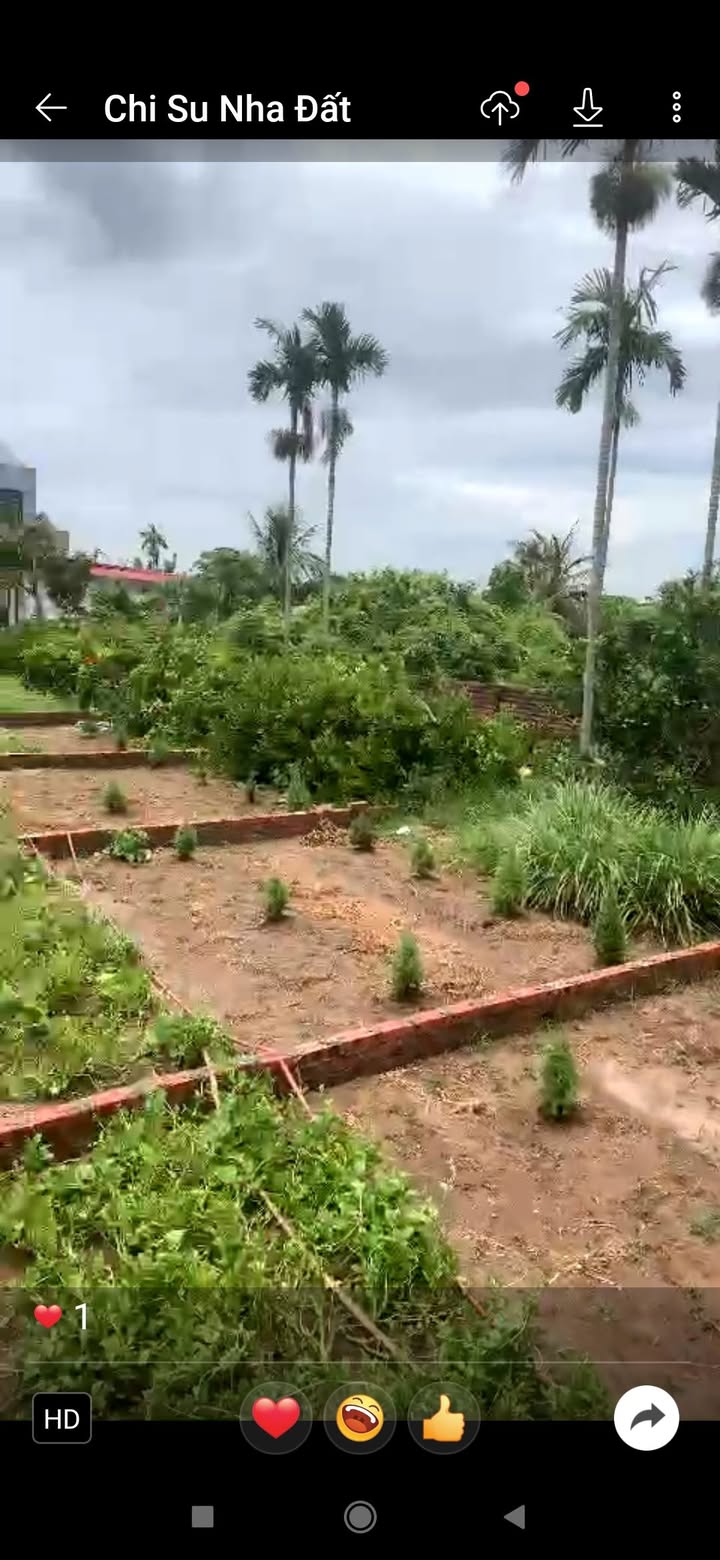 Đất nền Tân Vũ, Tràng Cát 47.8m² giá 1.36 tỷ - Ô tô vào tận nơi!