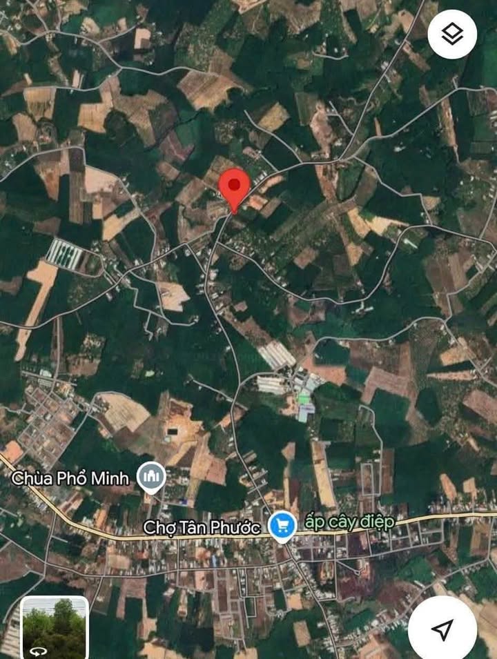 Đất nền Tân Phước 1500m² giá 1 tỷ - Đường lớn thuận tiện giao thông!