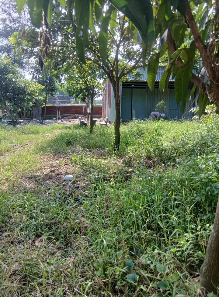 Nhà vườn cho thuê Vĩnh Cửu, Đồng Nai giá chỉ 2 triệu - Không thể bỏ lỡ!