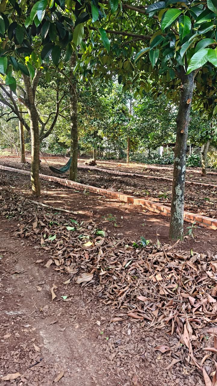 Đất ở Bình Lộc, Long Khánh 140m² giá 900 triệu - Sổ đỏ chính chủ, thổ cư 100%!