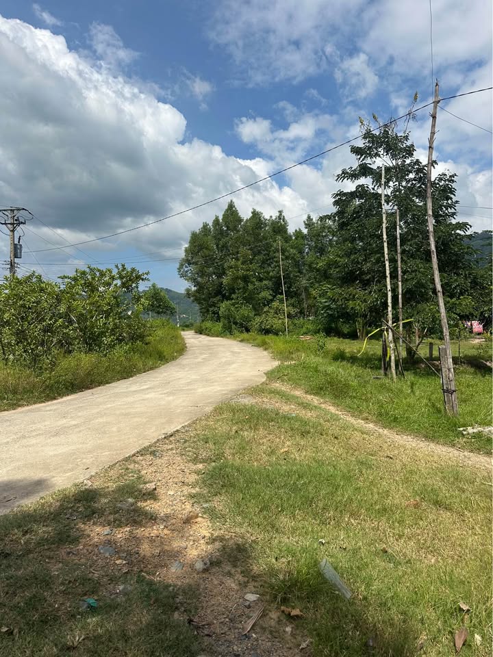 Đất thổ cư Khánh Bình 242m² giá 242 triệu - Cơ hội đầu tư tốt!