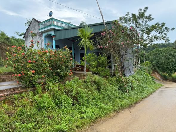 Đất thổ cư Văn Miếu Phú Thọ 2400m² giá 1.2 tỷ - Đường bê tông ô tô vào tận nơi!