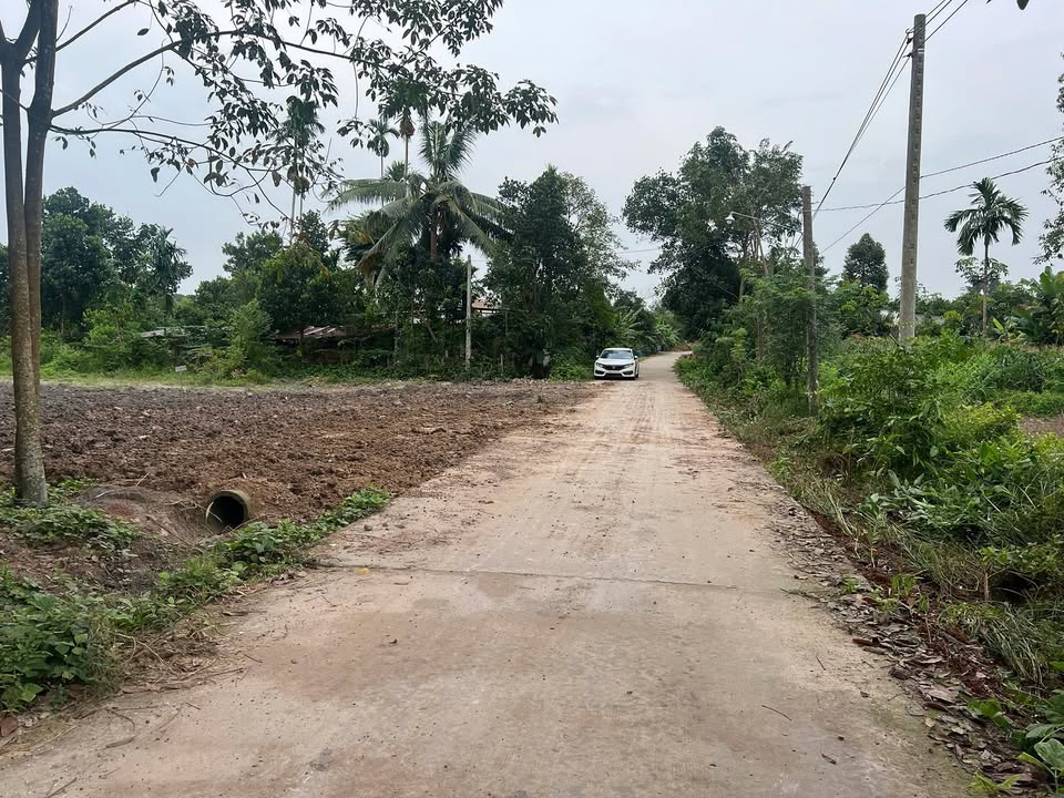 Đất nền phường Minh Hưng, Chơn Thành 250m² giá 550 triệu - Cơ hội đầu tư sinh lời!