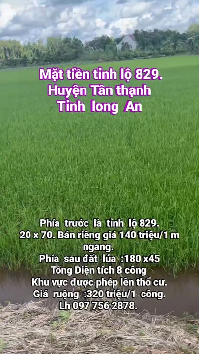 Đất mặt tiền Tỉnh lộ 829, xã Tân Hòa, giá chỉ 1.152 tỷ - Cơ hội đầu tư sinh lời!