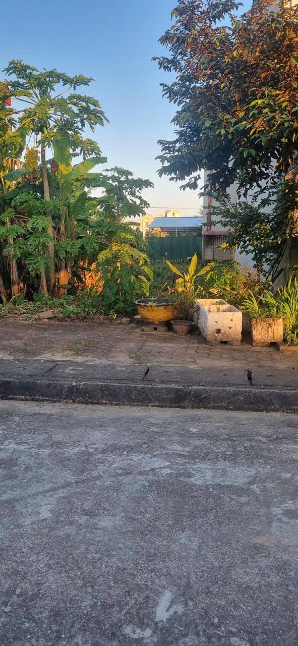 Đất dự án Khu Đô Thị Phúc Thành Hòa Mạc 94.5m² giá 2 tỷ - Sổ hồng chính chủ!