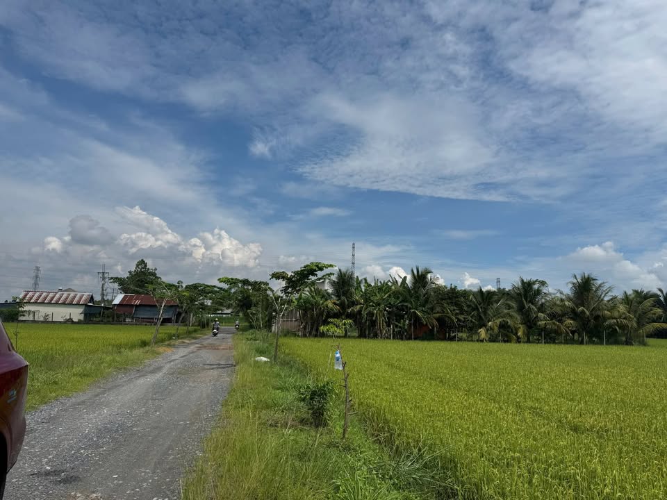 Đất nền 1000m² tại Trung Lập Hạ, Củ Chi giá 1.65 tỷ - Sổ hồng riêng, công chứng ngay!