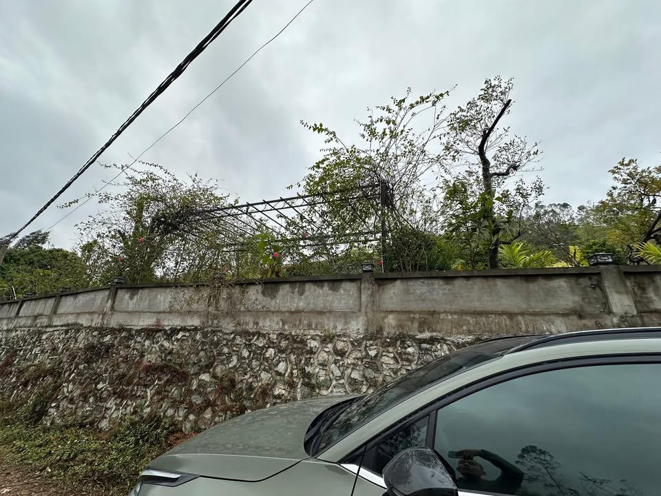 Đất rừng sản xuất Ngọc Thanh Phúc Yên 3650m² giá chỉ 1.35 tỷ - Cơ hội đầu tư tuyệt vời!