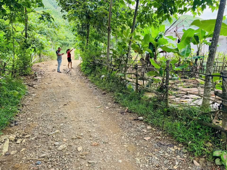 Đất nền Phúc Khánh, Yên Lập 148m² giá 15.184 tỷ - Đầu tư sinh lời hấp dẫn!