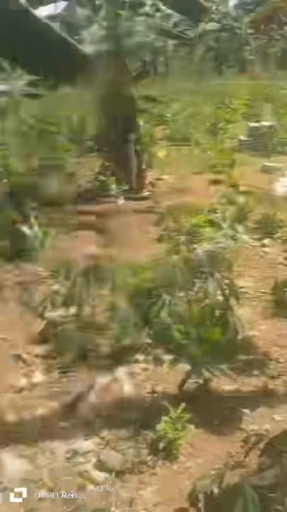 Đất thổ cư 368m² mặt tiền đường Hồ Chí Minh - Cơ hội đầu tư tuyệt vời!