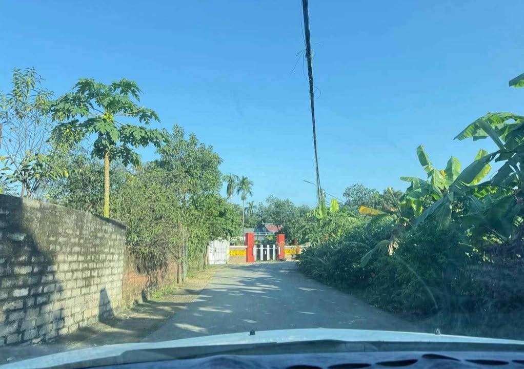 Đất nền 2100m² tại Phường Sơn Tây, Hà Nội - Giá chỉ 12.6 tỷ, cơ hội đầu tư tuyệt vời!