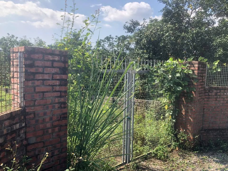 Đất nền Yên Bài Ba Vì 1800m² giá thỏa thuận - View cánh đồng thoáng đãng!