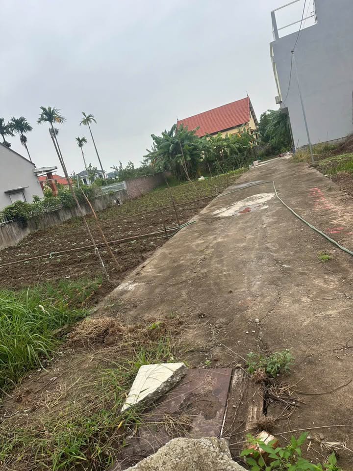 Đất nền Bàng La Đồ Sơn 54m² giá 700 triệu - Cơ hội đầu tư hiếm có!