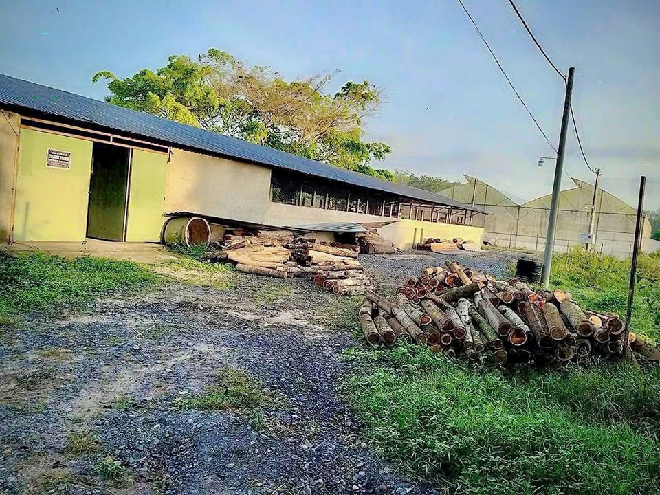 Kho xưởng Củ Chi 9.955m² giá 27 tỷ - Đầu tư sinh lời cao!