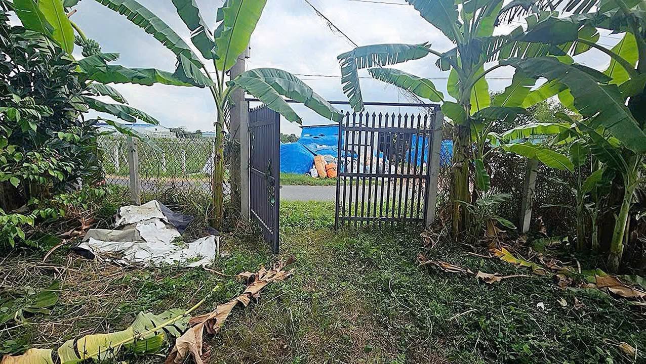 Đất nền Tân Thông Hội - Củ Chi 100m² giá 6.5 tỷ - Pháp lý rõ ràng!