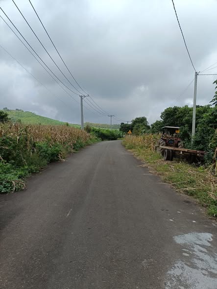 Đất nền mặt tiền đường nhựa xã Phú Hòa, Định Quán, Đồng Nai 1000m² giá chỉ 600 triệu - Cơ hội đầu tư tuyệt vời!