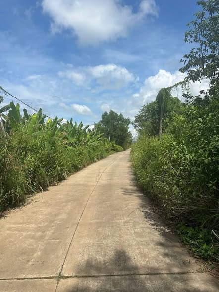 Đất nền Phú Tân 150m² giá chỉ 320 triệu - Cơ hội đầu tư tuyệt vời!