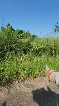 Đất nền 1000m² tại xã Hưng Thịnh - Giá thỏa thuận, vị trí đẹp!