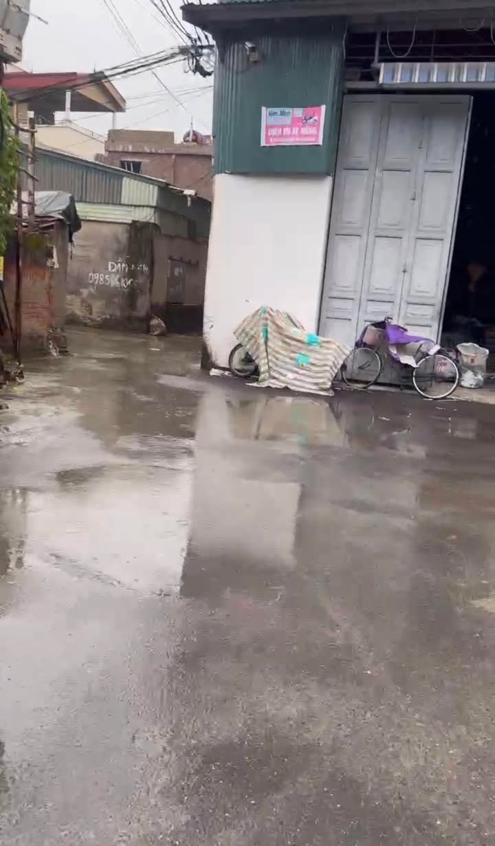 Đất nền Tam Hưng Thanh Oai 190m² - Đầu tư sinh lời hấp dẫn!