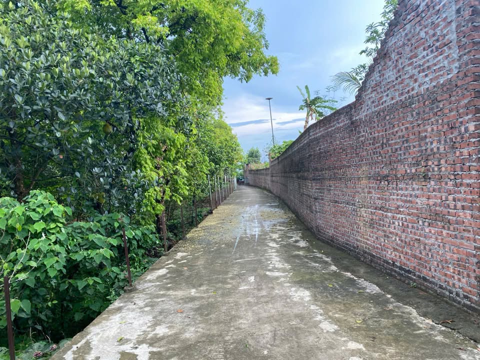 Đất nền Tiên Phương, Chương Mỹ 410m² giá 2.6 tỷ - Tiềm năng kinh doanh homestay