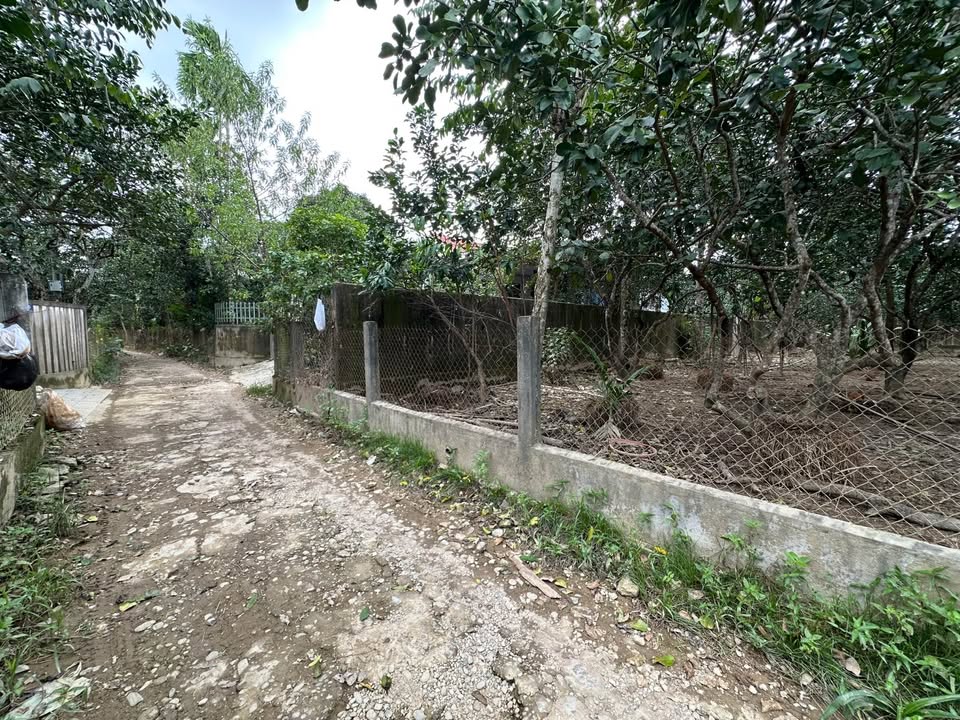 Bán đất Thân Văn Nhiếp, Thuỷ Biều 244.7m² giá chỉ 7 triệu/m² - Cơ hội đầu tư tuyệt vời!