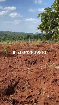 Đất nền Cư Suê, Cư M'gar 20.520m² giá 1.995 tỷ - Đầu tư sinh lời cao!