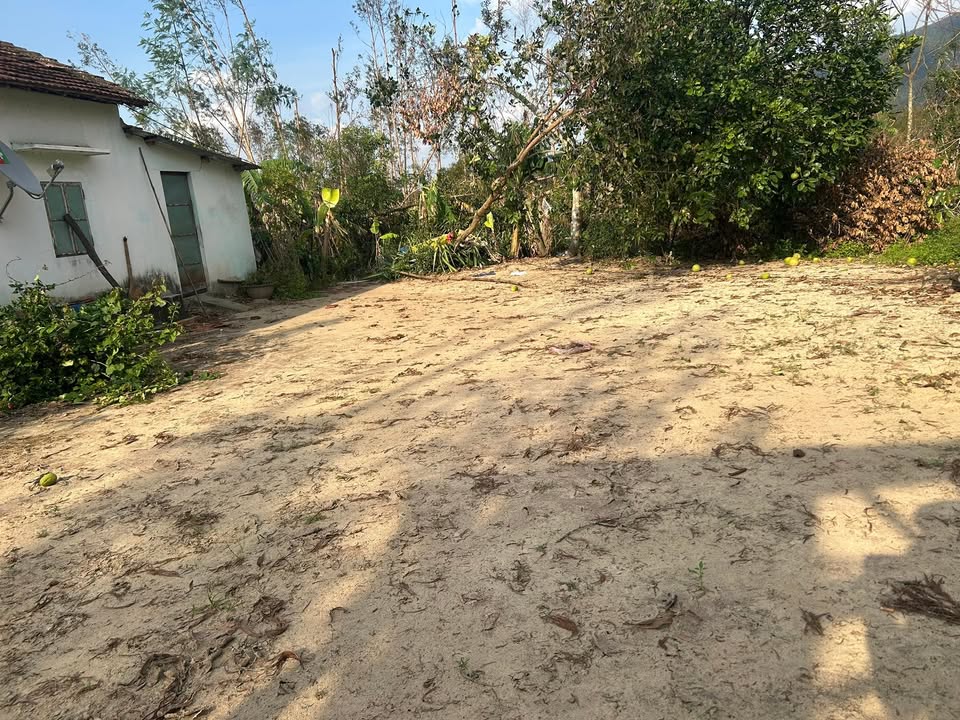 Đất nền Nhơn Tân An Nhơn 4500m² giá 1.2 tỷ - Tiềm năng lớn cho đầu tư!