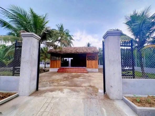 Nhà vườn nghỉ dưỡng 913m² tại Lương Phú, Bến Tre giá 1.25 tỷ - Không thể bỏ lỡ!