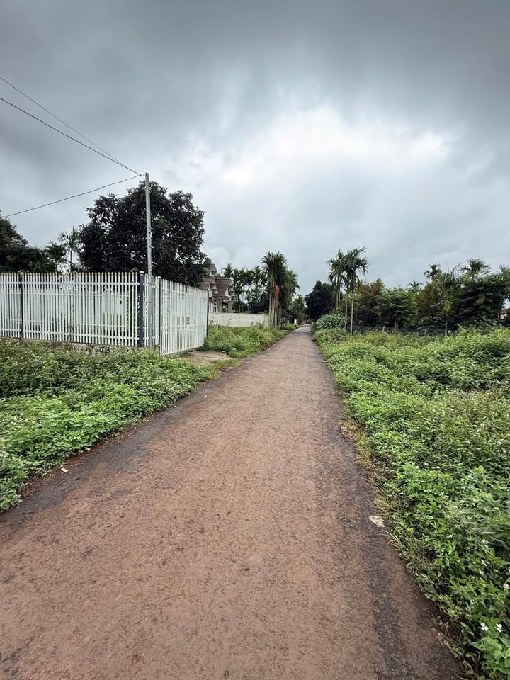 Đất nền Hòa Thắng Buôn Ma Thuột 125m² giá 1.15 tỷ - Đầu tư sinh lời ngay!