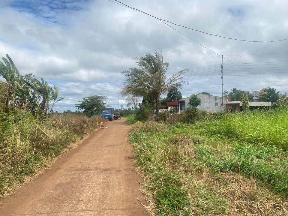 Đất nền hẻm Tố Hữu, Buôn Ma Thuột 195m² giá 675 triệu - Đường bê tông thông ô tô né nhau!