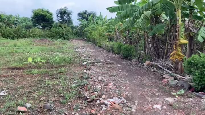 Đất 3 Mặt Tiền Cẩm Đường 809m² giá 2.4 tỷ - Đầu tư sinh lời dài hạn!