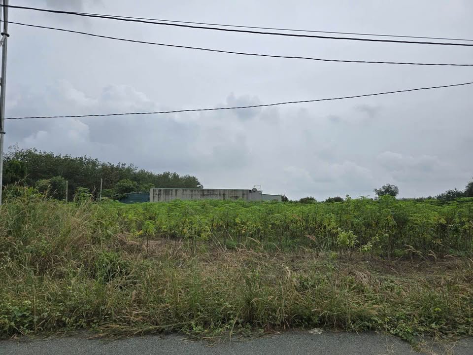 Đất nền Suối Đôi, Tân Hưng, 195m² giá 300 triệu - Cơ hội đầu tư sinh lời!