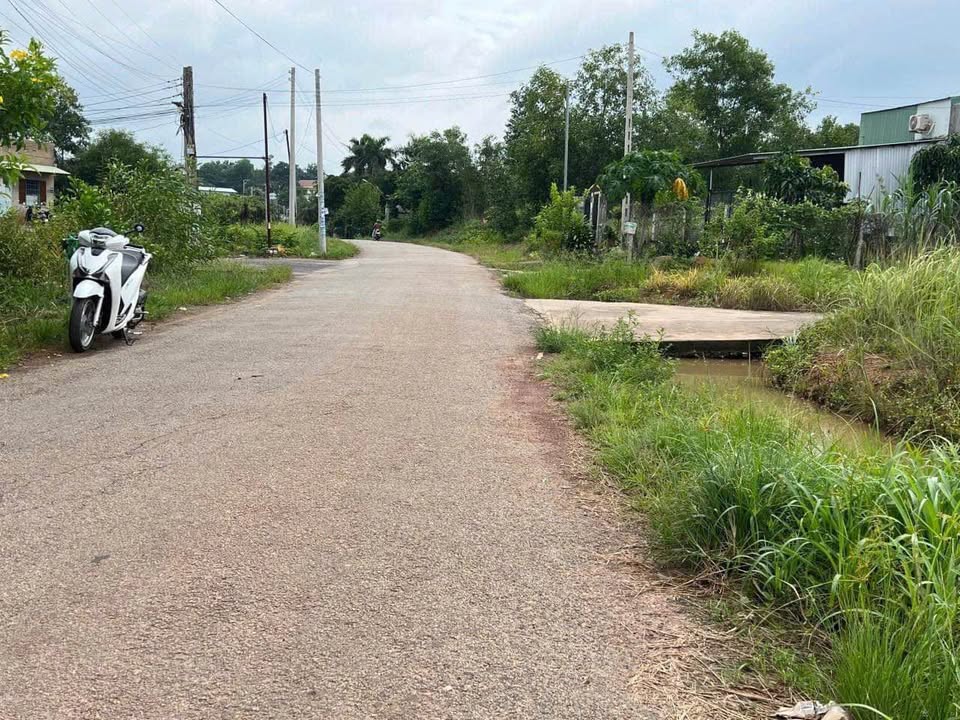 Đất nền chính chủ Tân Xuân 240m² giá 1.499 tỷ - Đầu tư sinh lời ngay!