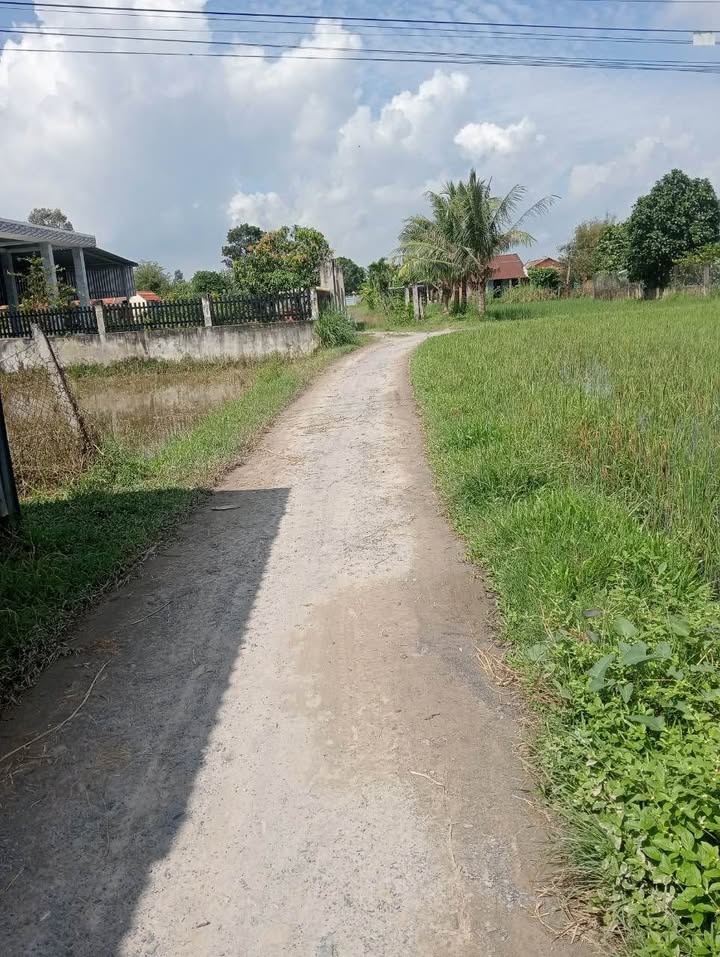 Đất nền 2 mặt tiền đường Gò Sao Tân Phú 952m² giá chỉ 2 tỷ - Cơ hội đầu tư hấp dẫn!