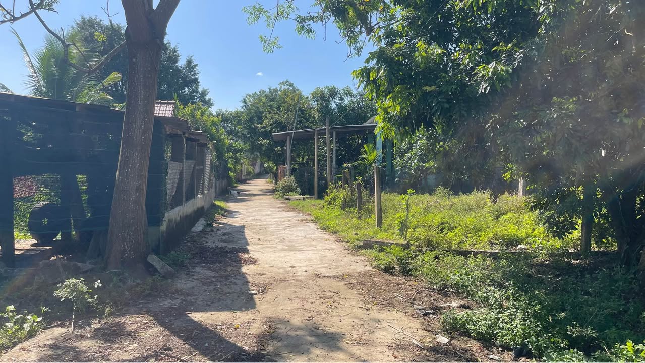 Đất thổ cư tại phường Lê Lợi, Kon Tum 90m² giá 299 triệu - Sổ đỏ chính chủ, pháp lý rõ ràng!