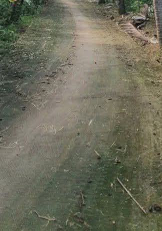 Đất nền Tân Thanh Tây Mỏ Cày Bắc 3000m² giá 650 triệu - Cơ hội đầu tư hiếm có!