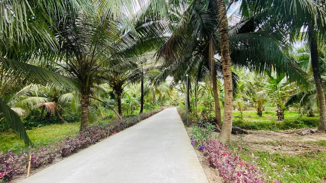 Đất thổ cư mặt tiền xã Sơn Phú, Giồng Trôm 1,7 công - Giá chỉ 2,04 tỷ!