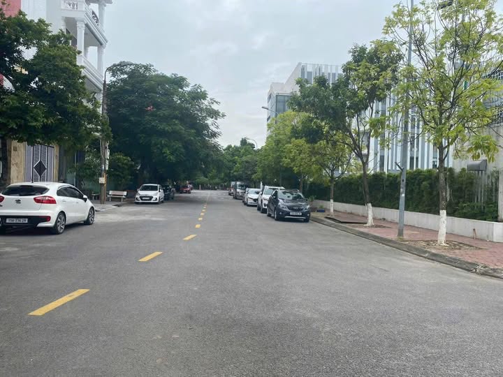 Đất nền dự án Sao Đỏ Hải Phòng 150m² giá 6.75 tỷ - Sổ đỏ chính chủ!