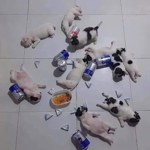 Đất nền Bông Trang, Xuyên Mộc 12400m² giá 5.9 tỷ - Cơ hội đầu tư sinh lời!