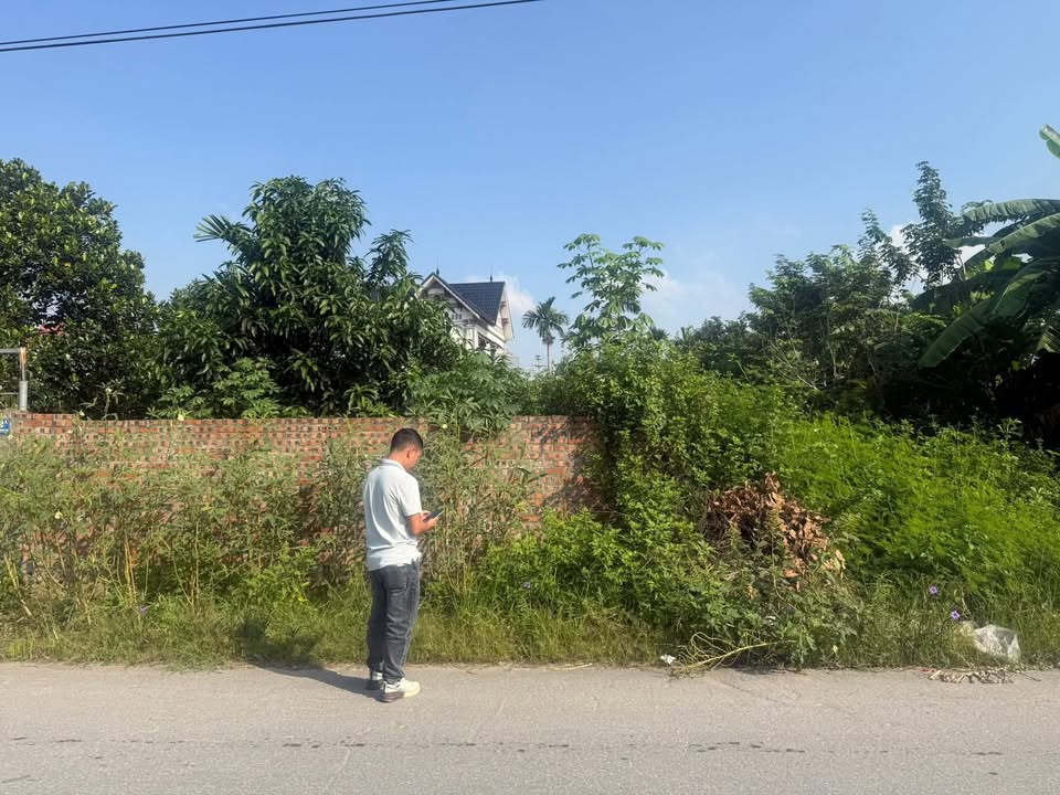 Đất nền Cổ Đô Ba Vì 287m² giá chỉ 2.9 tỷ - Cơ hội đầu tư tuyệt vời!