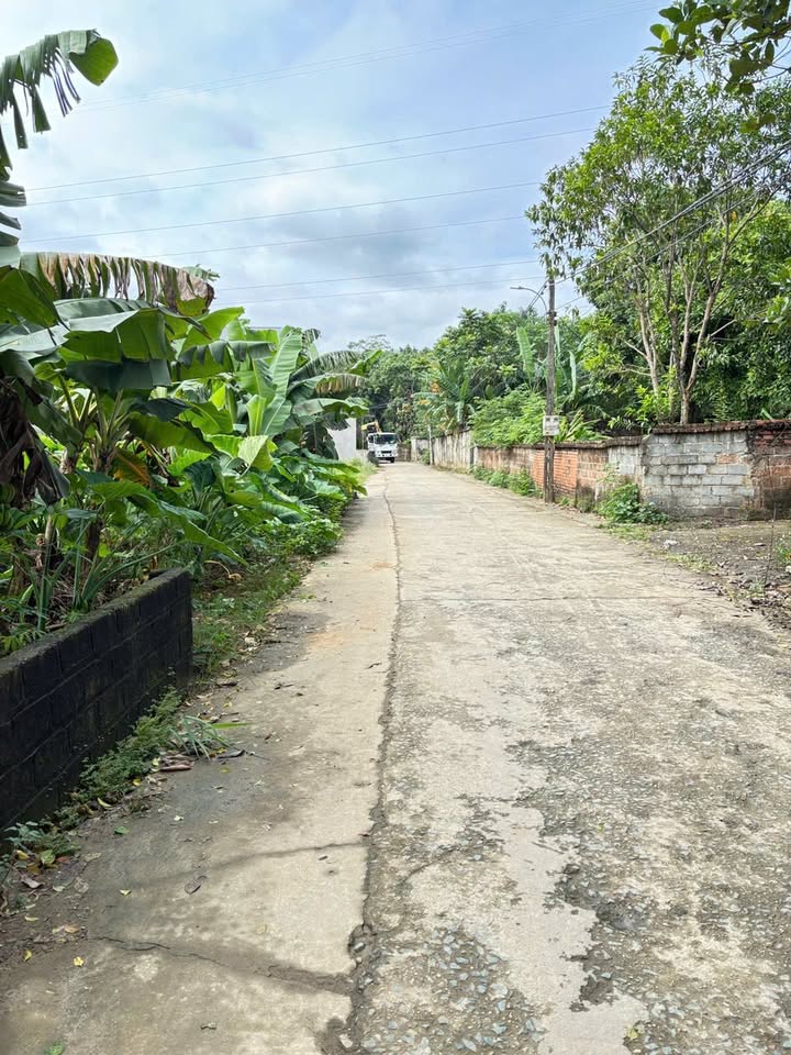 Lô đất 223m² tại thôn Yên Thái, Quốc Oai - Giá chỉ 5.129 tỷ - Đầu tư sinh lời cao!