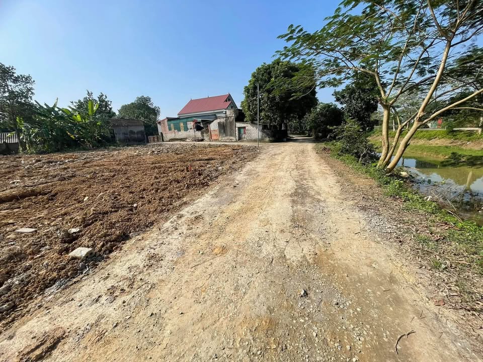 Đất thổ cư Yên Phong, Yên Sơn, 142m² giá 700 triệu - Đường ô tô vào tận nơi!