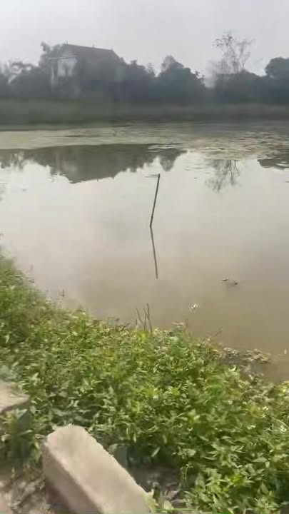 Đất nền Gia Phương Ninh Bình 120m² giá 900 triệu - Gần ao làng thơ mộng!