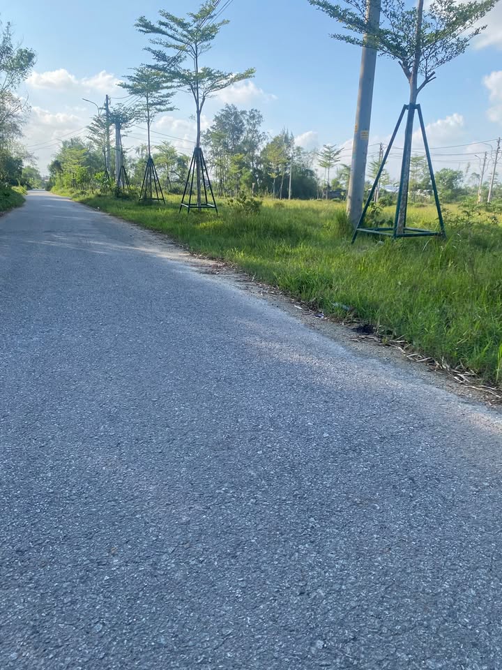 Đất thổ cư mặt tiền Hoàng Minh Đạo, Thủy Lương 94.2m² giá 600 triệu - Đầu tư sinh lời ngay!